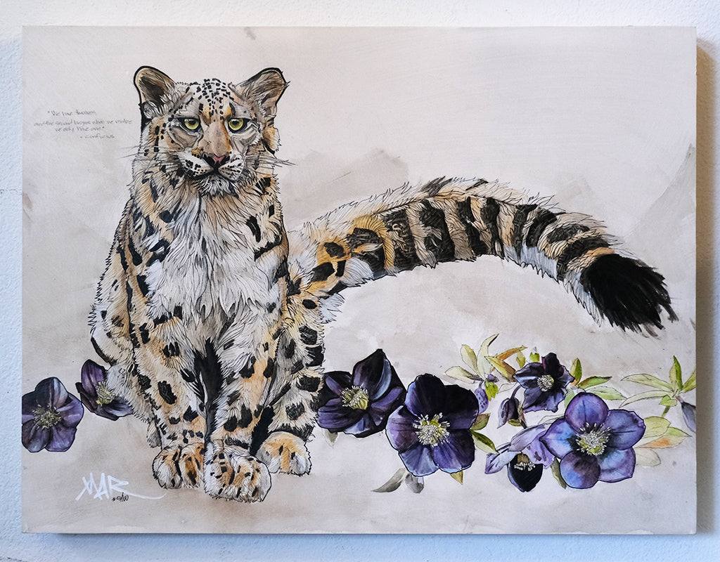 The Paradox of Vulnerability