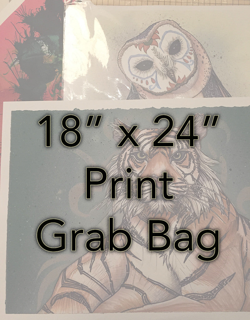 18" x 24" Poster Print Grab Bag