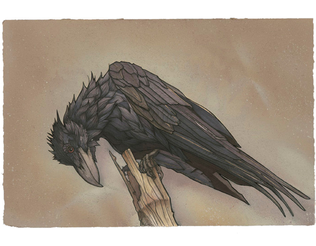 A flock of ravens is called an unkindness. For a time, the British also called them a conspiracy, as they look as if they are conspiring when they gathered.