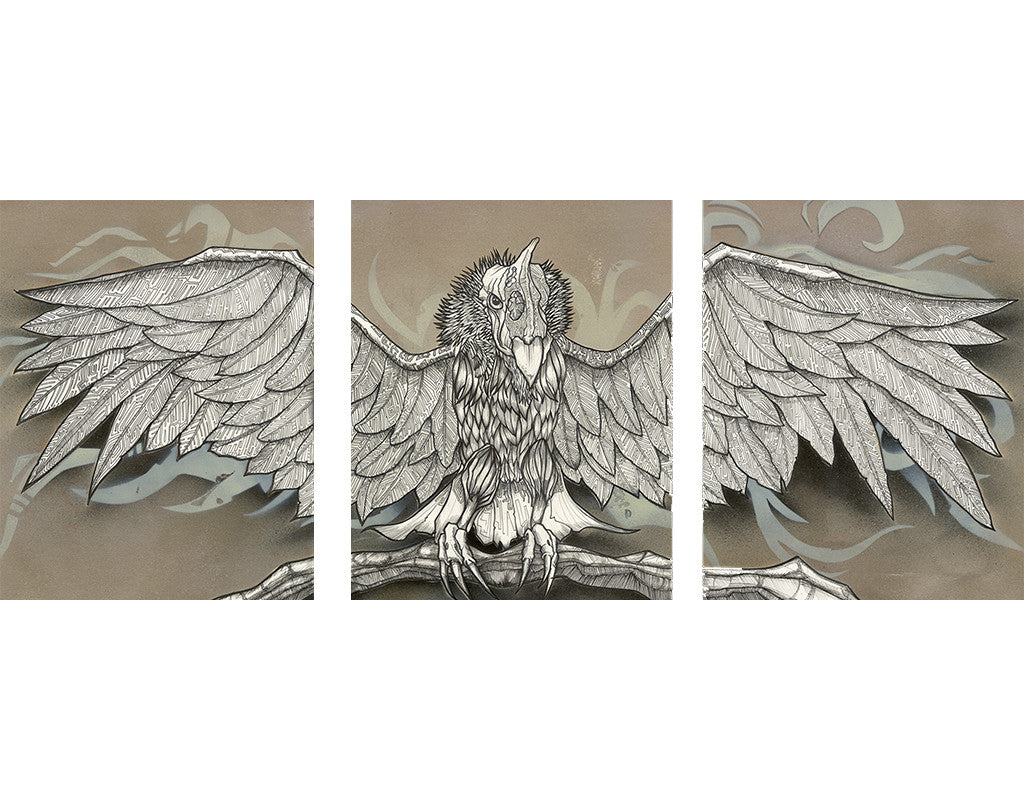 "Andean Condor" ©2012 Michael Rohner