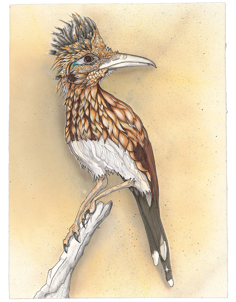 "Desert Prince" ©2014 Michael Rohner