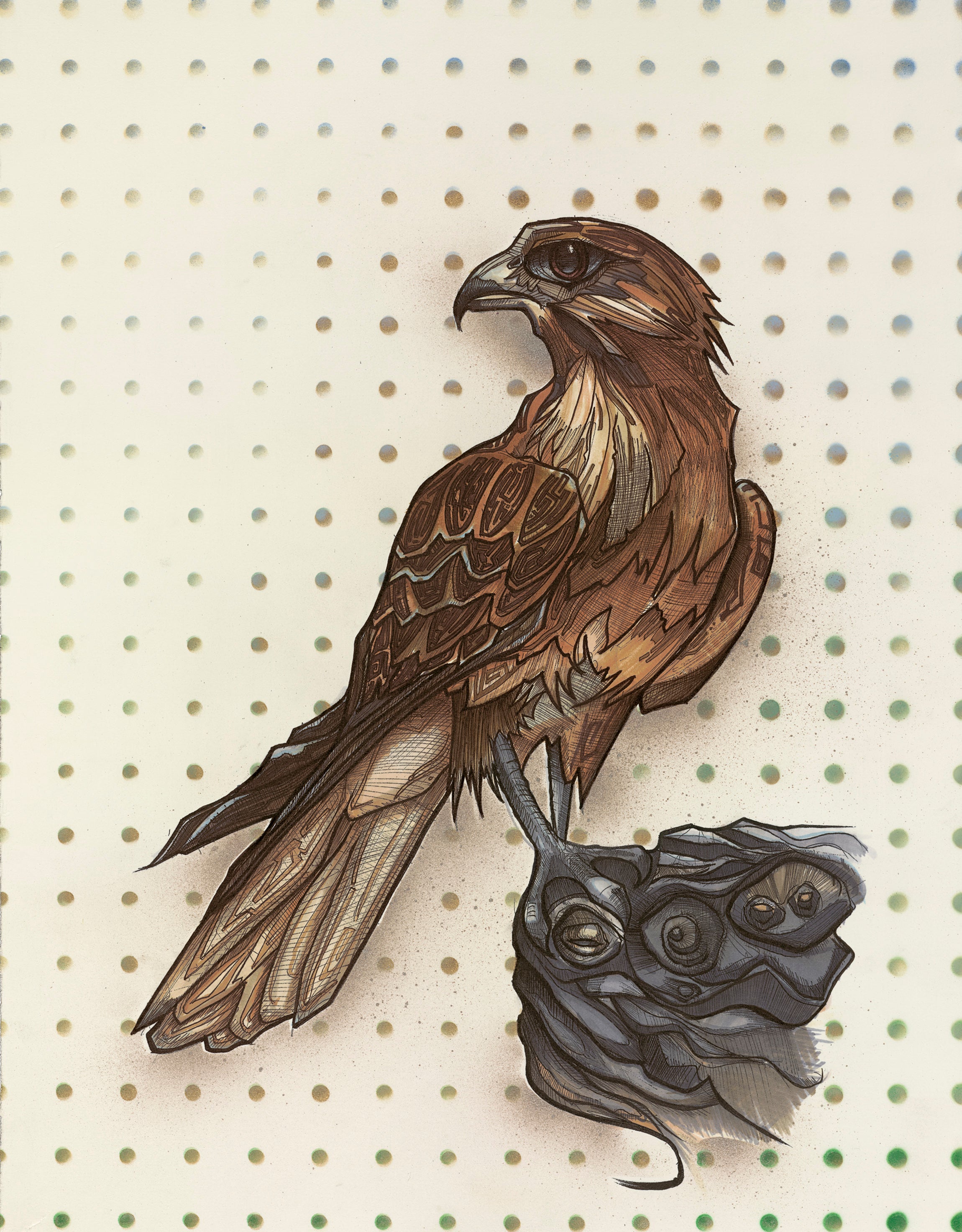 Falcon ©2012 Michael Rohner