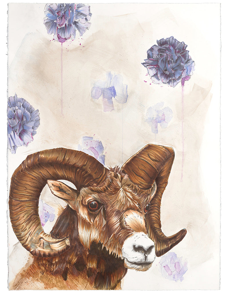 Quest for the Golden Fleece