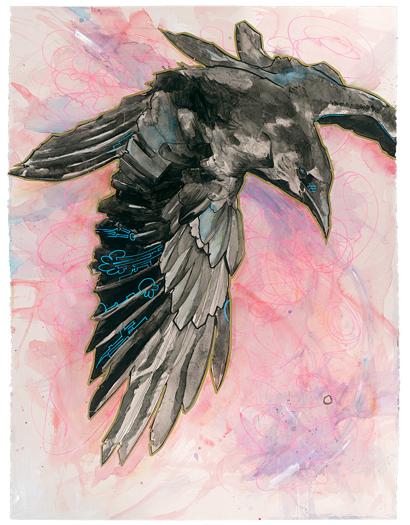How much perspective do you have in your life? What shapes your internal dialogue? This crow is soaring above the noise, seeing clearly with an outside view. It's other eye looks back at you with the reminder to be in touch with your own ideas. 