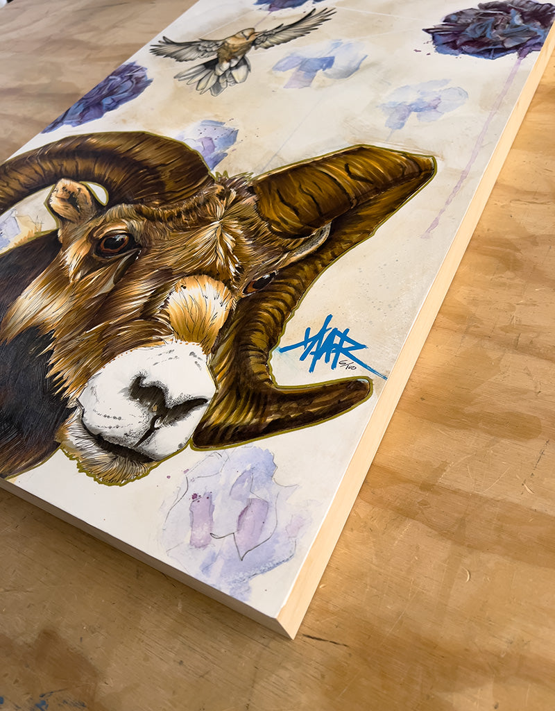 "Quest for the Golden Fleece" Print Mounted on Wood Panel