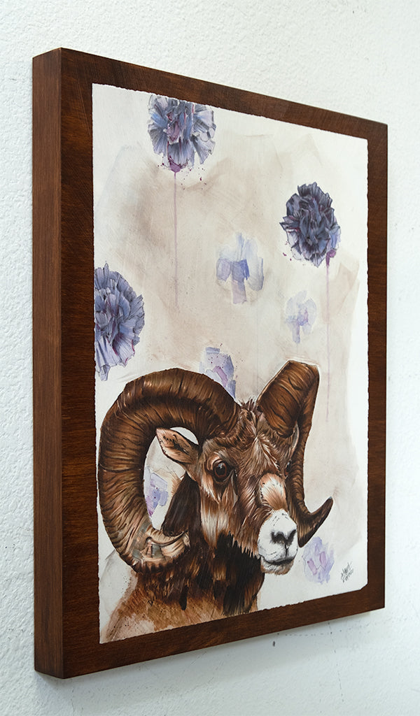 Quest for the Golden Fleece