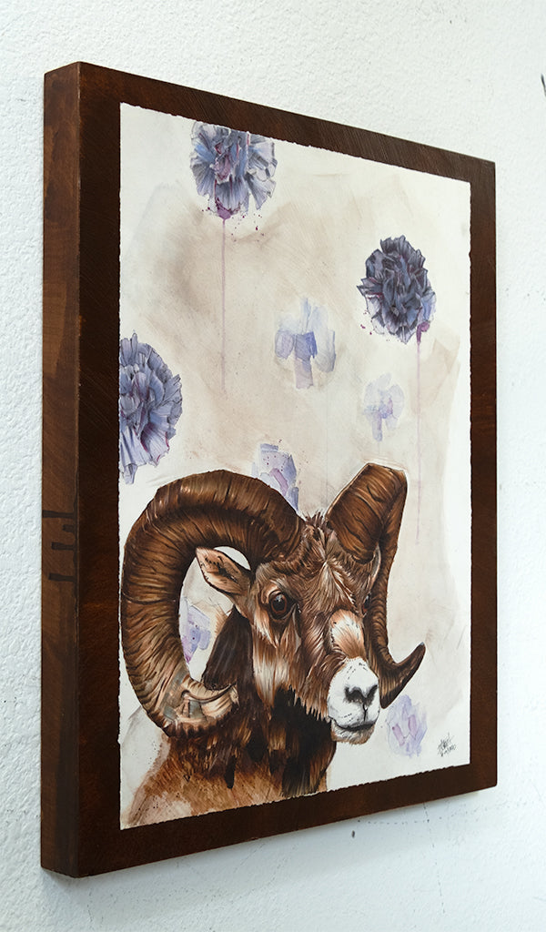 Quest for the Golden Fleece