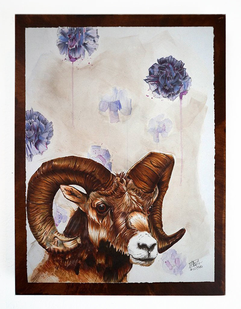 "Quest for the Golden Fleece" # 10/500 12" x 16"