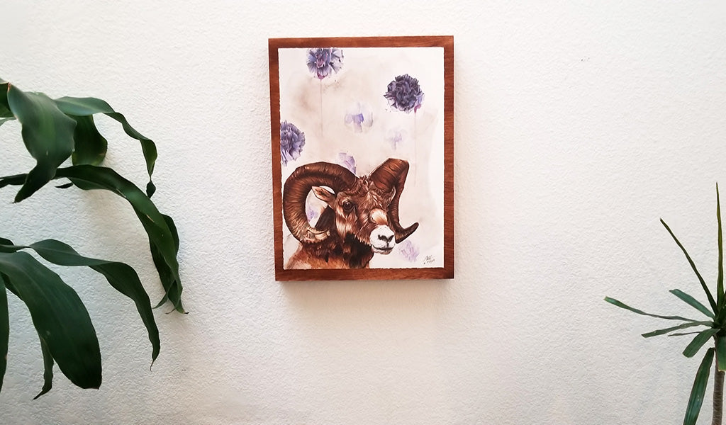 "Quest for the Golden Fleece"