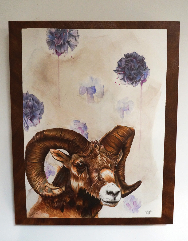 "Quest for the Golden Fleece"