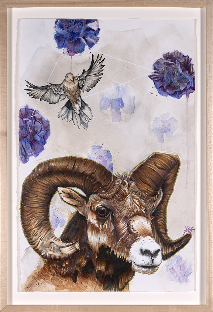 Quest for the Golden Fleece