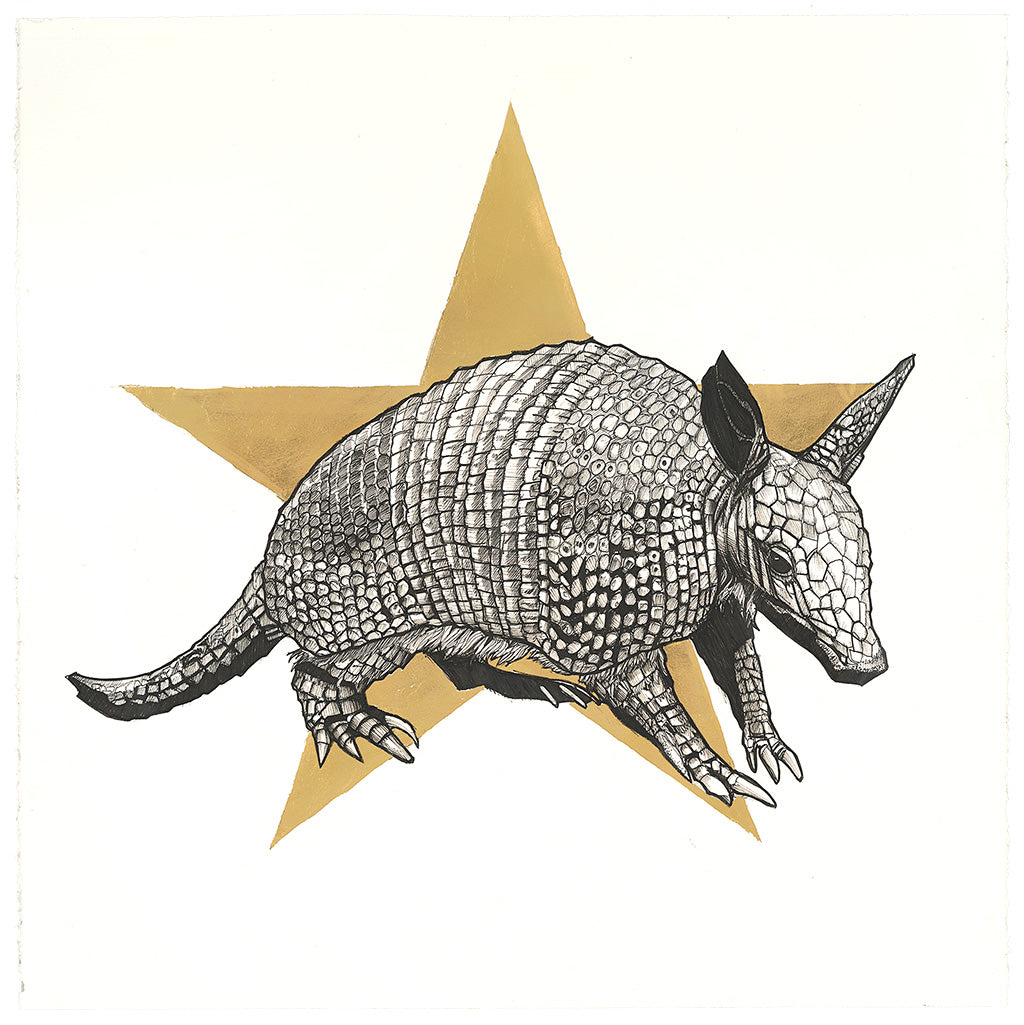 Everybody is a Star