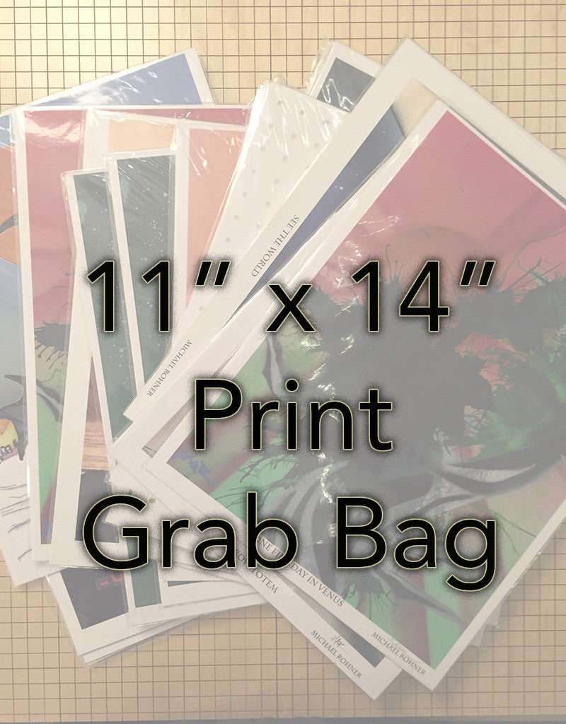 11" x 14" Print Grab Bag