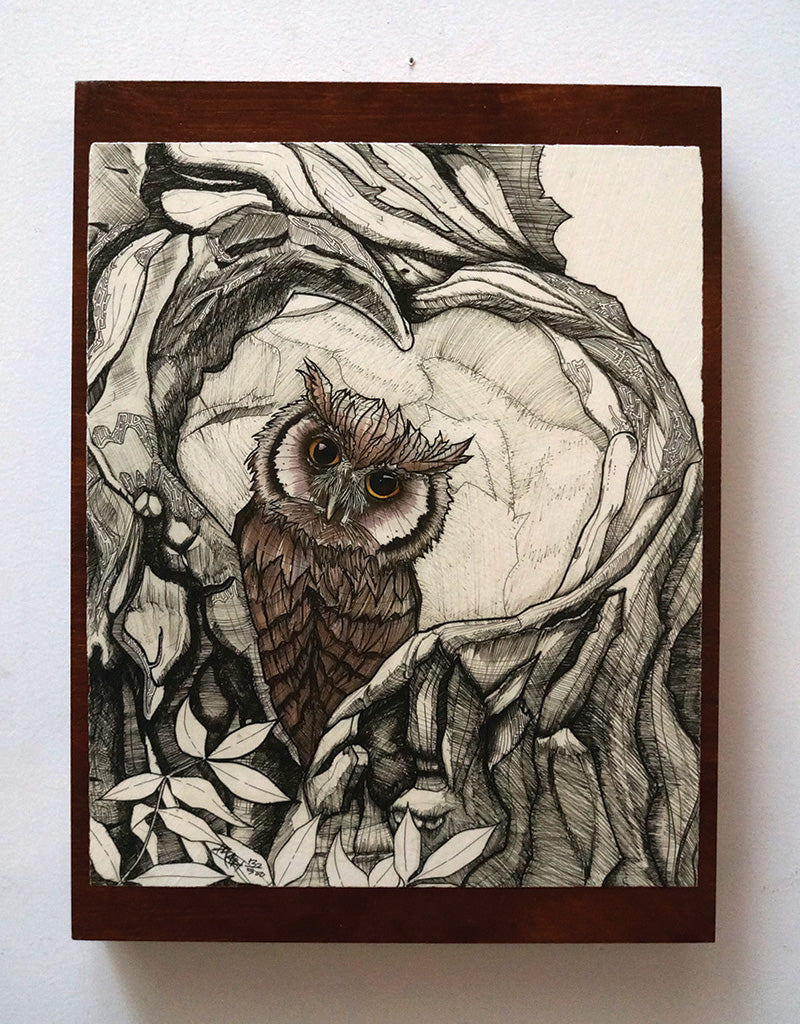 "Baby Owl"
