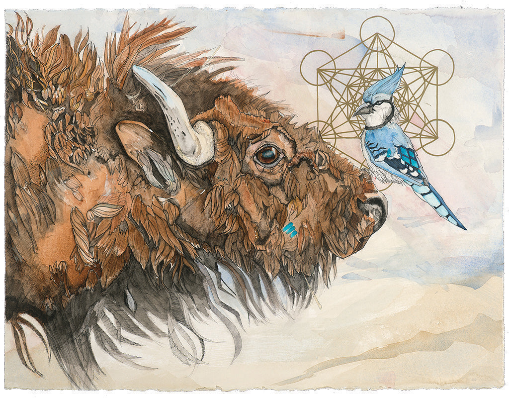 The knowledge and abundance represented in the buffalo. The clever messenger in the blue jay. They are both seekers. Metatron's Cube implies a gateway to higher vibrations. There's more to us than we know. 