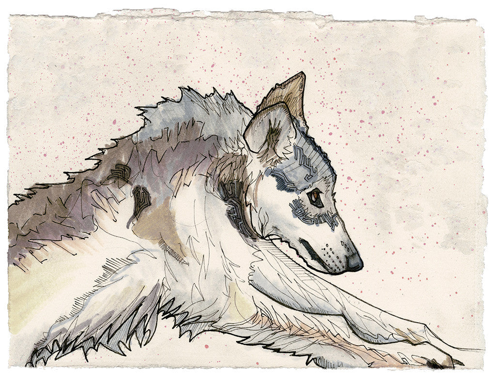 Wolf
