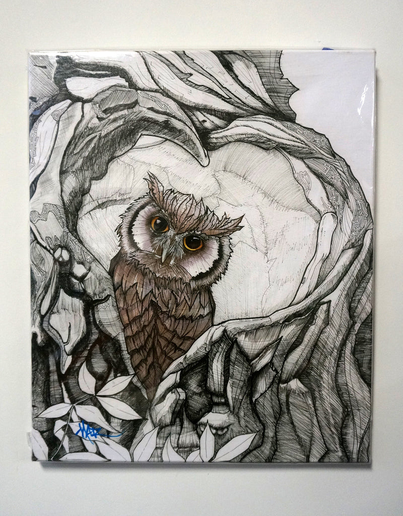 "Baby Owl" Canvas Giclèe