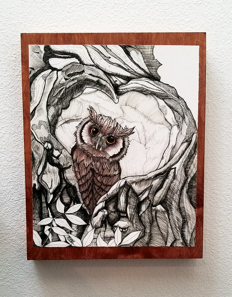 "Baby Owl" 