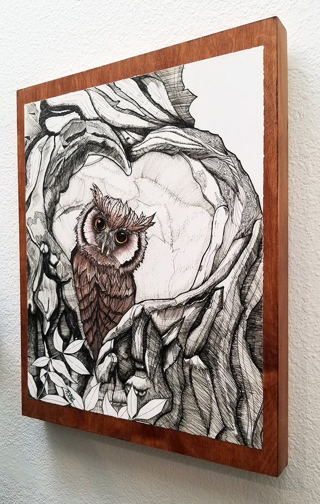"Baby Owl" 