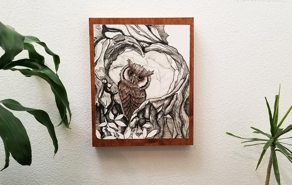 "Baby Owl" 