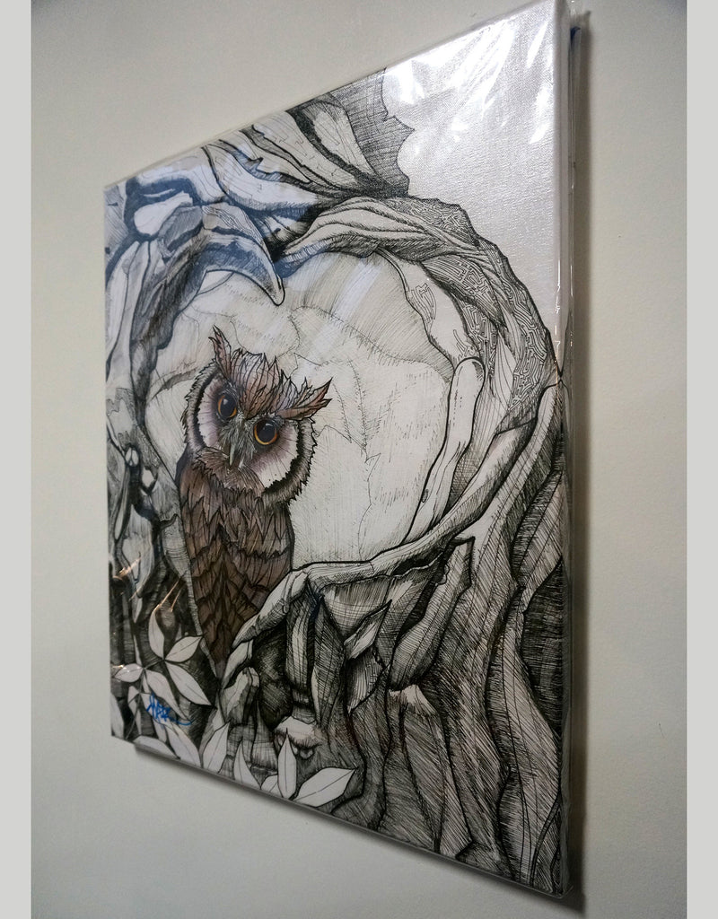 "Baby Owl" Canvas Giclèe