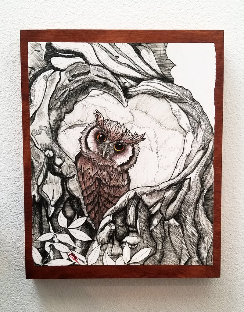 "Baby Owl" 