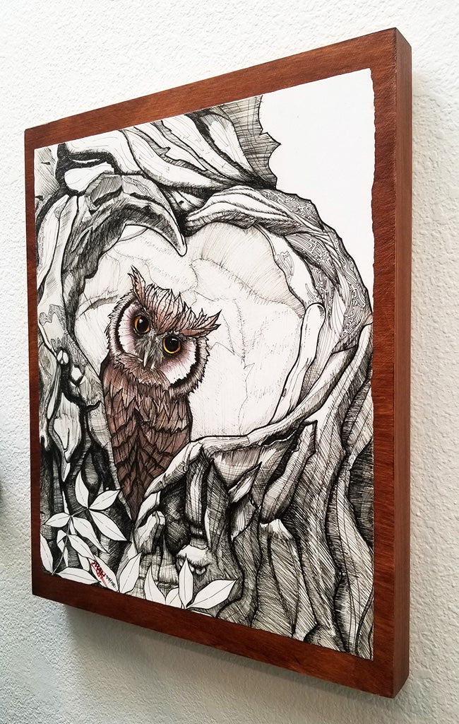 "Baby Owl" 