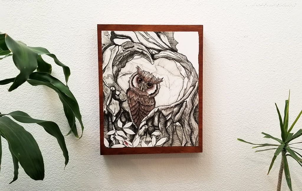 "Baby Owl" 