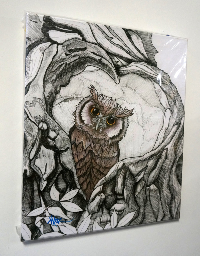 "Baby Owl" Canvas Giclèe