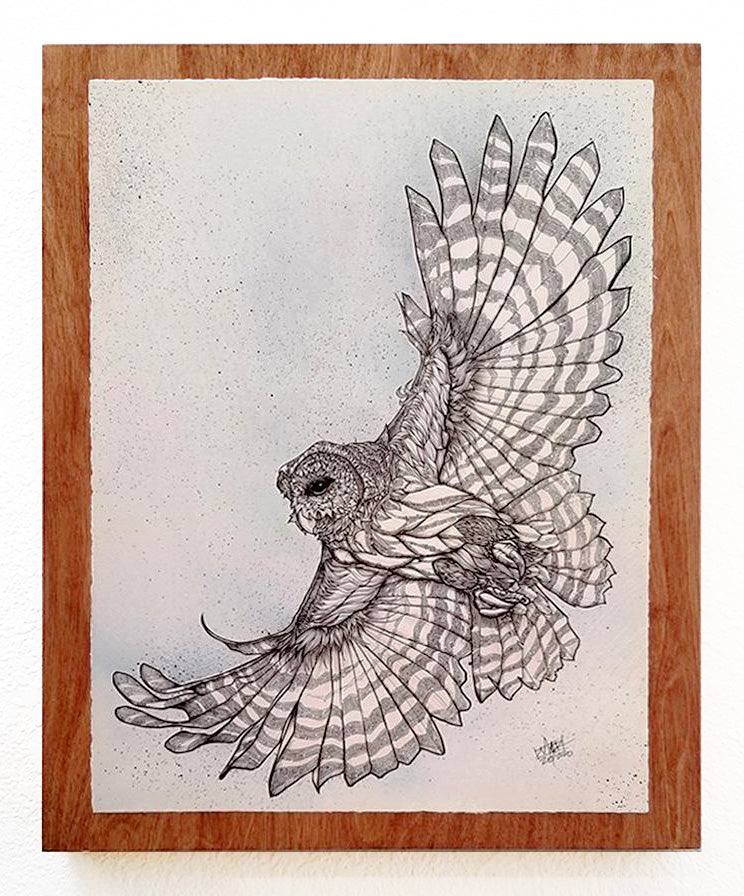 "Barred Owl" #28/250 16" x 20"