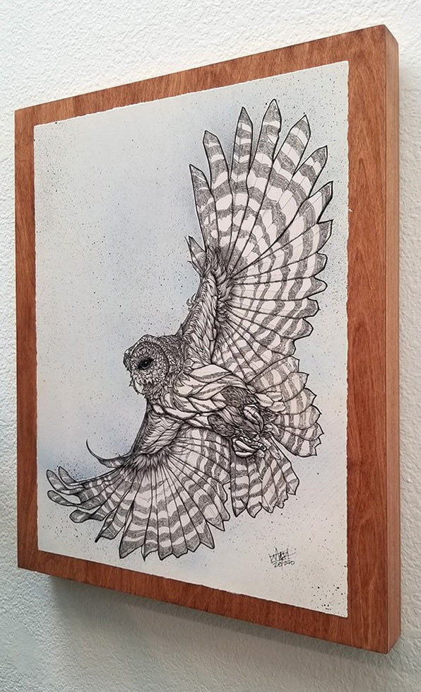 "Barred Owl" #28/250 16" x 20"