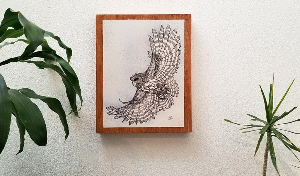 "Barred Owl" #28/250 16" x 20"