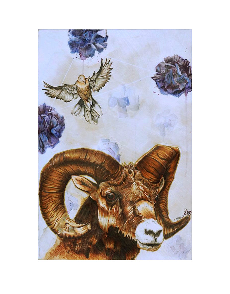 "Quest for the Golden Fleece" Print Mounted on Wood Panel