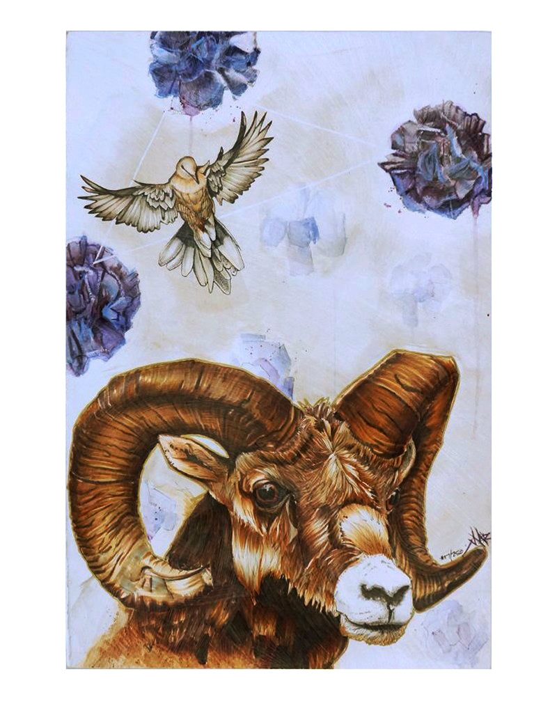 "Quest for the Golden Fleece" Print Mounted on Wood Panel