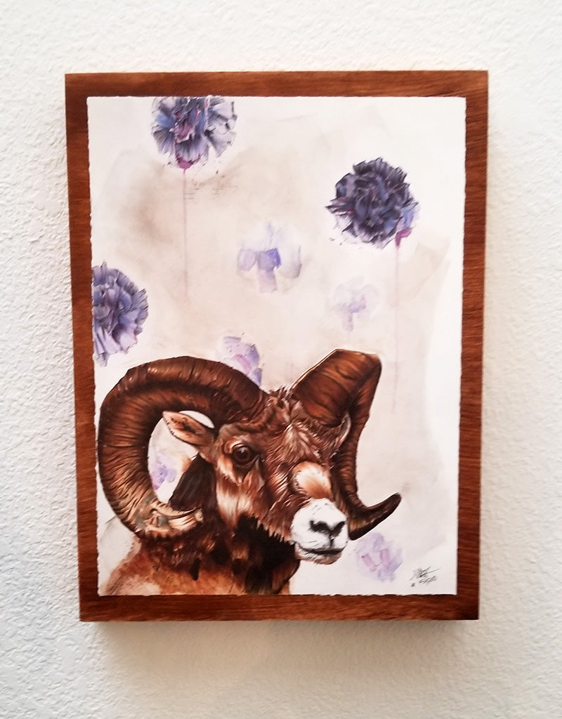 "Quest for the Golden Fleece" 