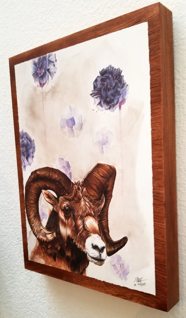 "Quest for the Golden Fleece" 