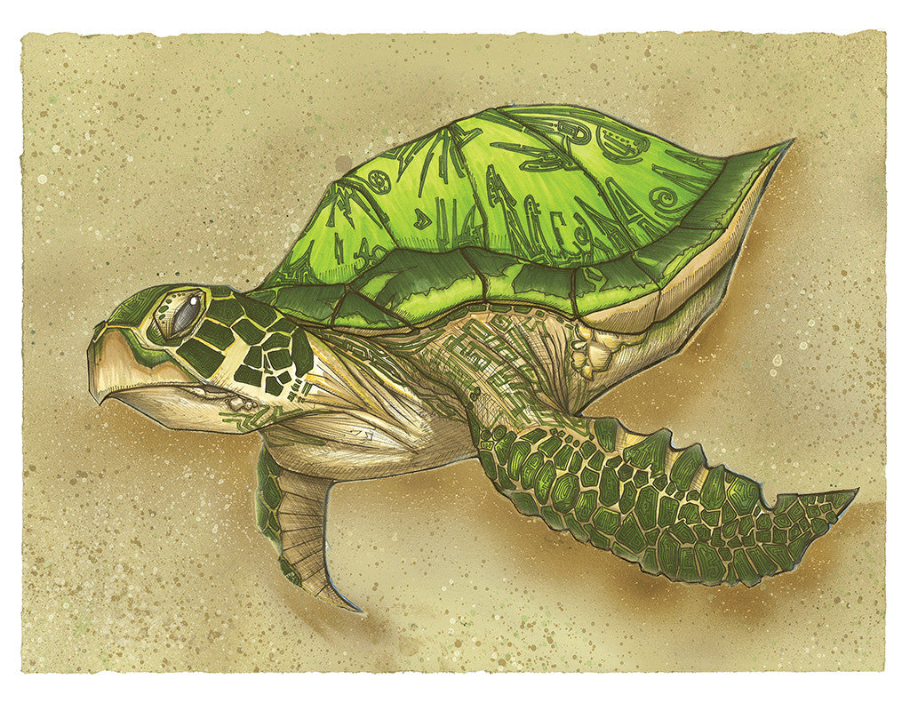 Sea Turtle ©2012 Michael Rohner