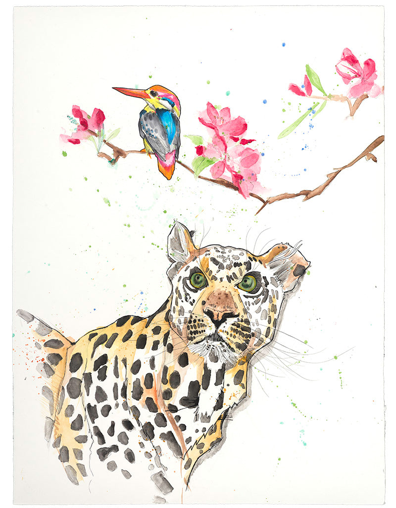 The leopard spots the gorgeous kingfisher. What happens next? Your perspective informs the story.   